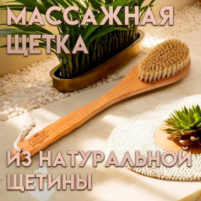 Щетка массажная с длинной ручкой, натуральная щетина «Добропаровъ» 38.5 см × 8 см × 4.5 см