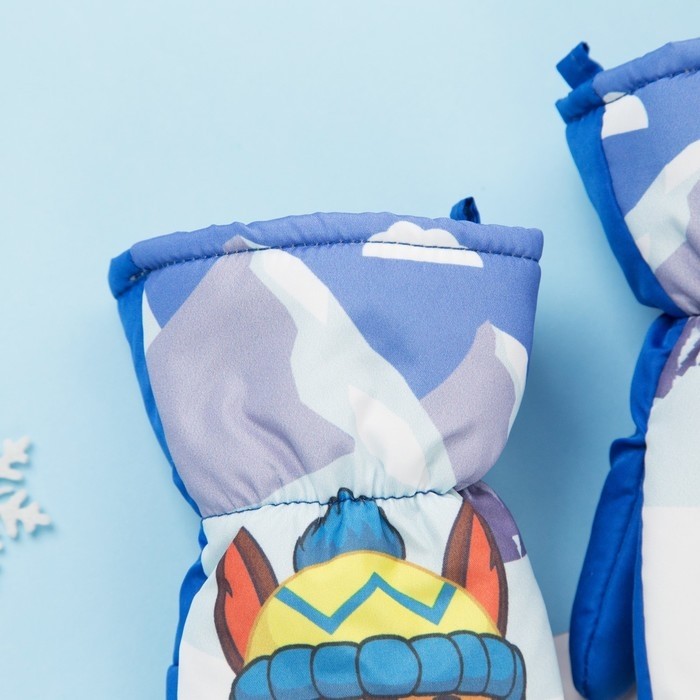 Рукавицы (варежки) зимние PAW PATROL "Гончик" р-р 14 (5-6 лет), синий