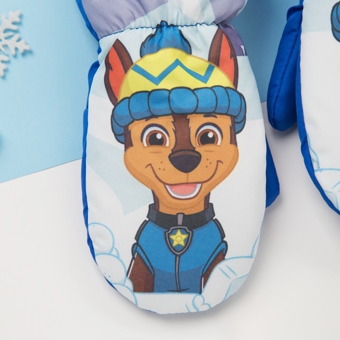 Рукавицы (варежки) зимние PAW PATROL "Гончик" р-р 14 (5-6 лет), синий