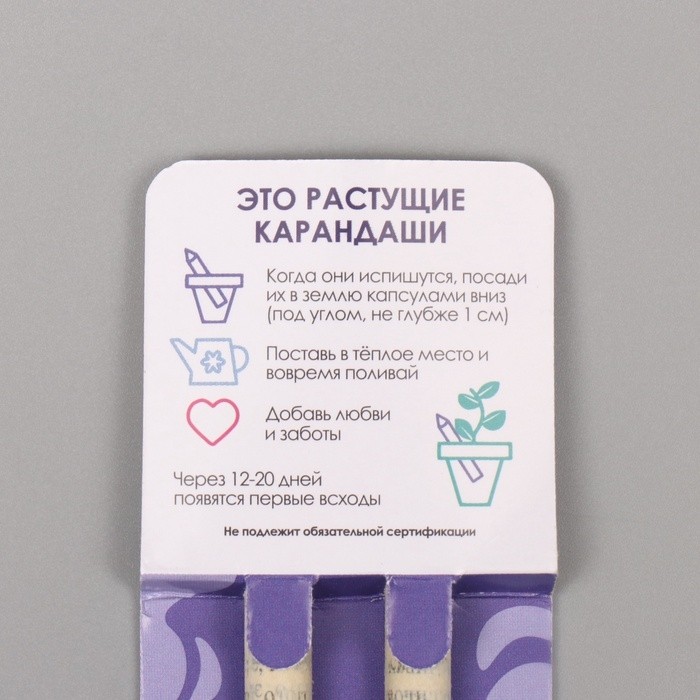 Набор для выращивания, карандаши подарочные «Мята и Лаванда», mini, простые чернографитные, 2 шт.