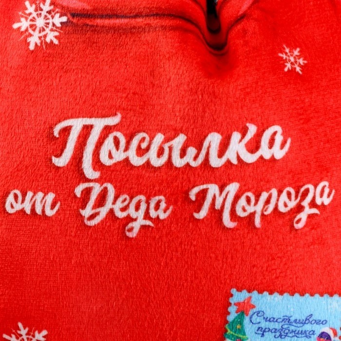 Рюкзак - мешок детский новогодний «Посылка от Деда Мороза», 35×30 см