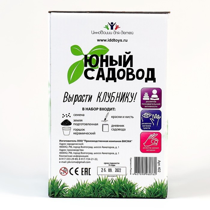 Набор для опытов «Юный садовод: Вырасти клубнику»