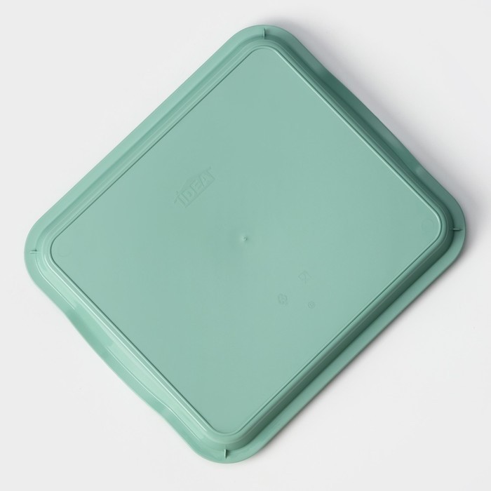 Поднос пластиковый IDEA, 25×29×3.2 см, цвет фисташковый