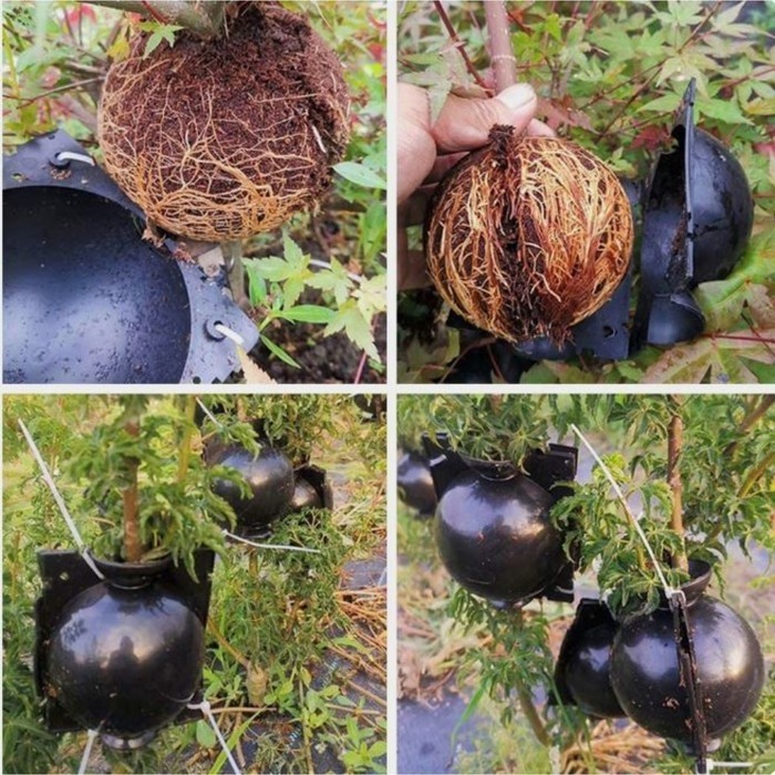 Шар для укоренения растений, d = 8 см, под ветку 1 см, чёрный , Greengo (Цена за 2 шт.)