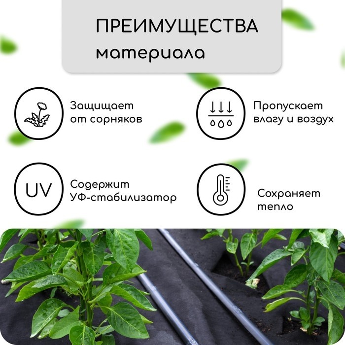 Материал мульчирующий, 10×1.6 м, плотность 60 г/м², спанбонд с УФ-стабилизатором, четыре ряда перфорации, чёрный, Greengo, Эконом 30%