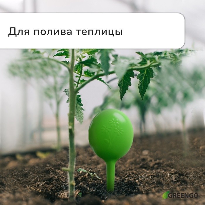 Автополив для комнатных растений, h=28 см, 380 мл, пластик, набор 2 шт., зелёный, Greengo (Цена за 2 шт.)