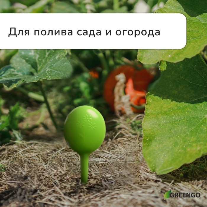 Автополив для комнатных растений, h=28 см, 380 мл, пластик, набор 2 шт., зелёный, Greengo (Цена за 2 шт.)