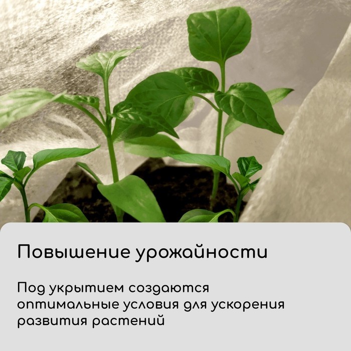 Материал укрывной, 10×1.6 м, плотность 80 г/м², спанбонд с УФ-стабилизатором, белый, Greengo, Эконом 30%