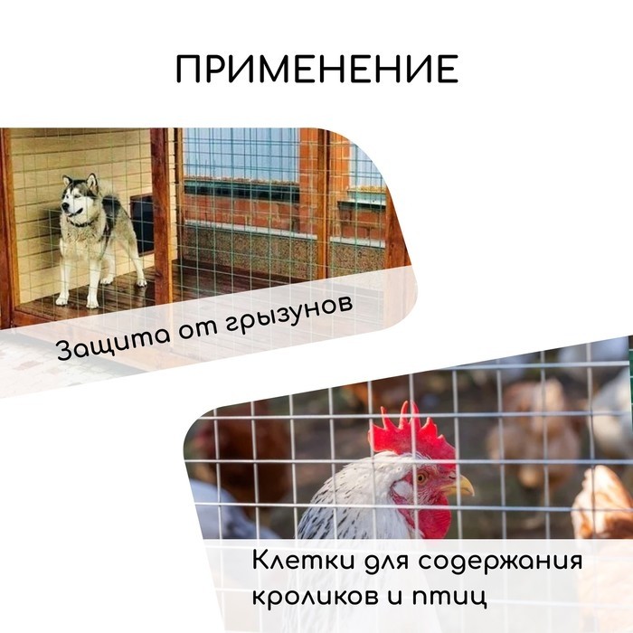 Сетка оцинкованная, сварная, 10×0.5 м, ячейка 50×50 мм, d=0.7 мм, Greengo