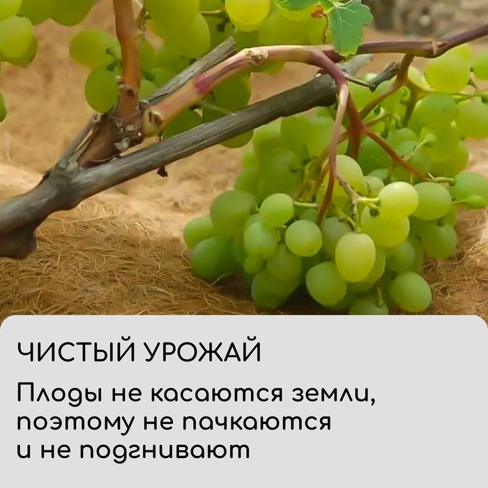Круг приствольный, d=0.9 м, из кокосового полотна, набор 5 шт., «Мульчаграм»