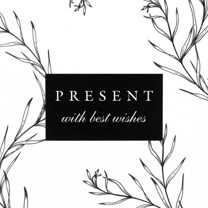 Переноска для цветов на лентах Present with best wishes, 17×25×9 см (Цена за 2 шт.)