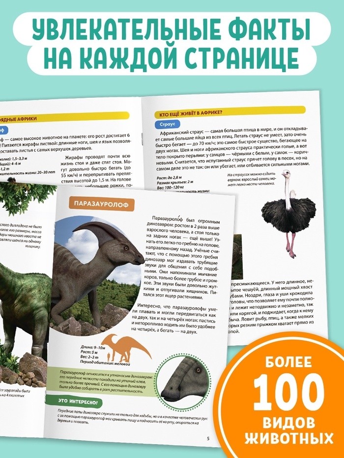 Мини - энциклопедии «Мир животных», набор 6 шт. по 20 стр.