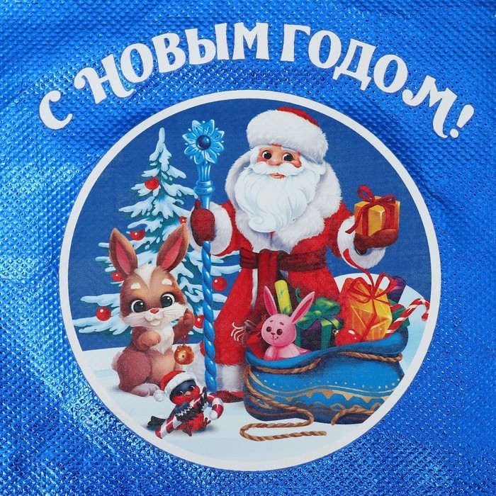 Пакет-мешок из нетканного материала «Новый год», 25 х 32 см