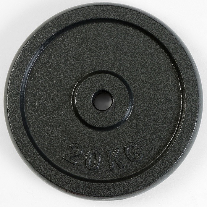 Диск  20 кг, d=29 мм