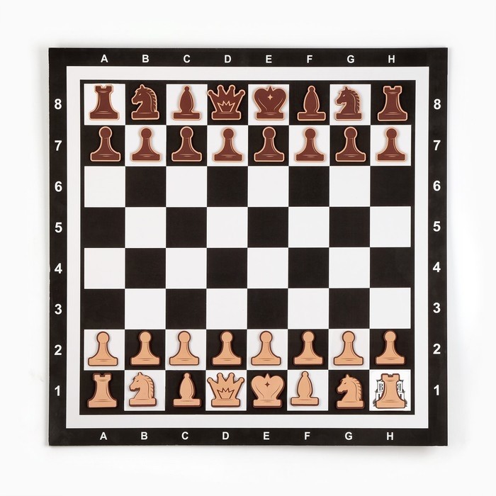 Шахматы демонстрационные 60×60 см, магнитная доска