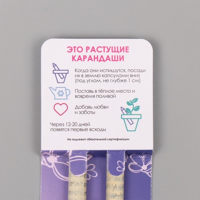 Набор для выращивания, карандаши подарочные «Лаванда + Ромашка», mini, простые чернографитные, 2 шт.
