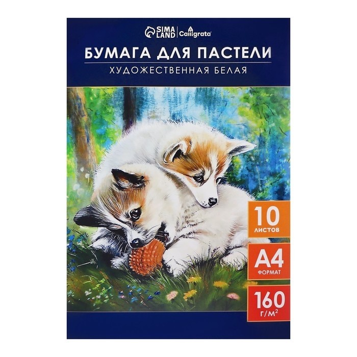 Бумага для пастели А4, 10 листов "Щенки", блок 160 г/м2, в папке (Цена за 3 шт.)