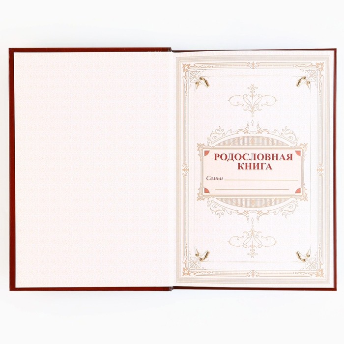 Новогодняя родословная книга «Новый год: Дед Мороз» 17 х 2 х 23,7 см