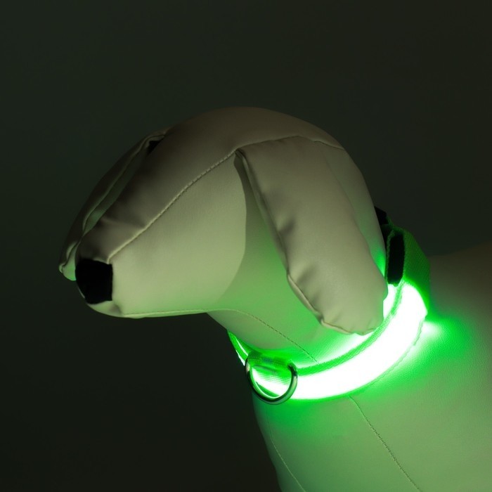 Ошейник с подсветкой, зарядка от USB, ОШ 34-41 см, 3 режима, зелёный