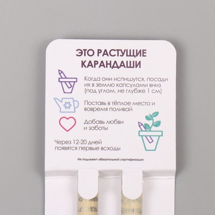 Набор для выращивания, карандаши подарочные «Мята + Лаванда», mini, простые чернографитные, 2 шт.