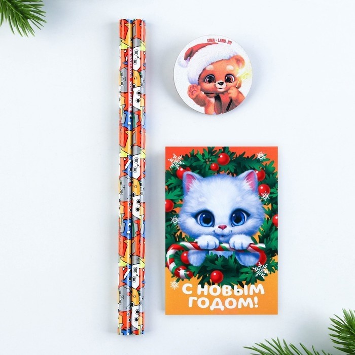 Подарочный набор новогодний, блокнот, карандаши простые 2 шт., значок «Котик»