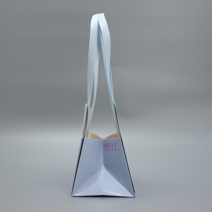Переноски для цветов «Киса», 14×10×9 см