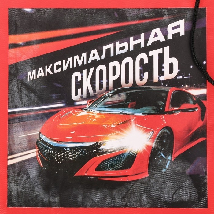 Мешок для обуви «Максимальная скорость» 40×30 см