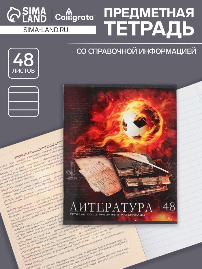 Тетрадь предметная 48 листов в линейку Calligrata, «Футбол. Литература», обложка мелованный картон (Цена за 3 шт.)
