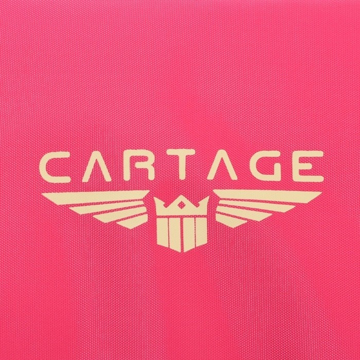 Термосумка Cartage Т-22, розовый, 10 л, 26×19×19 см