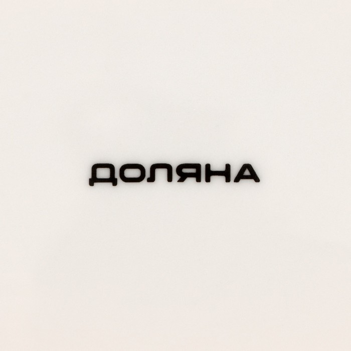 Блюдо Доляна «зелёное сад», 28×14.5×2 см, фарфор, белое