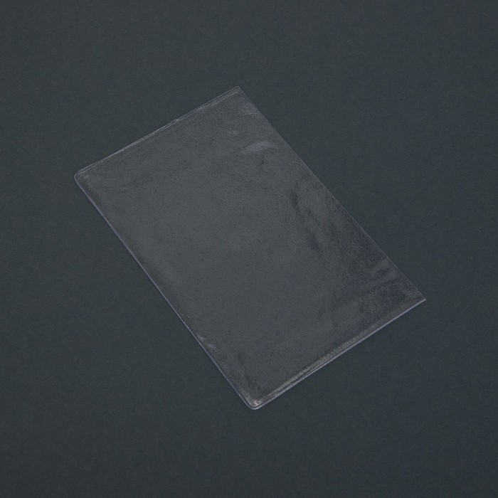Чехол для листов паспорта, прозрачный, 10 шт. (Цена за 10 шт.)
