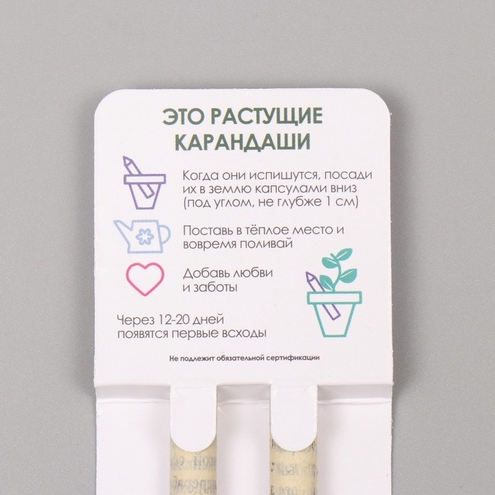 Набор для выращивания, карандаши подарочные «Маргаритка + гвоздика», mini, простые чернографитные, 2 шт.