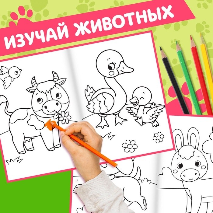 Раскраски для малышей набор «Животные», с карандашами 6 цветов, 2 шт. по 16 стр. (Цена за 2 шт.)