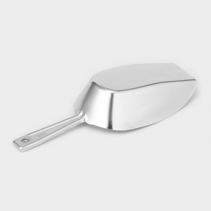 Совок для сыпучих продуктов, h=24.5 см, алюминий, серебристый