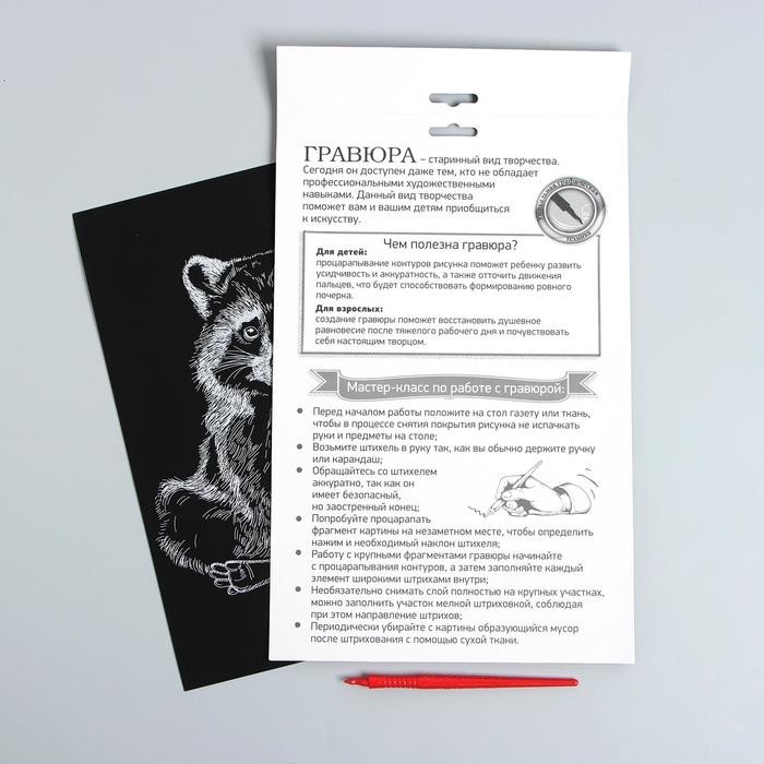 Гравюра на подложке «Енот» с металлическим эффектом «серебро» А4 (Цена за 3 шт.)