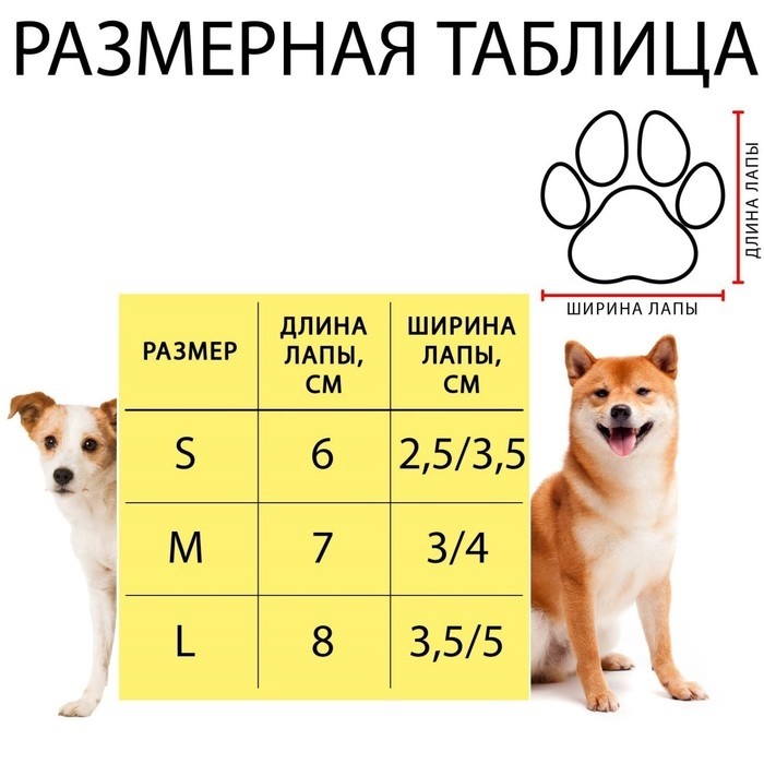 Носки нескользящие (2,5/3,5 * 6 см), набор 4 шт , зеленые