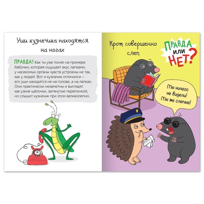 Книга «Правда или нет? Мир животных», 38 стр. (Цена за 3 шт.)