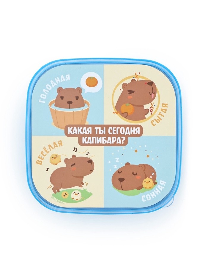 Ланч - бокс квадратный с секциями «Капибара», 14,5 х 6 см