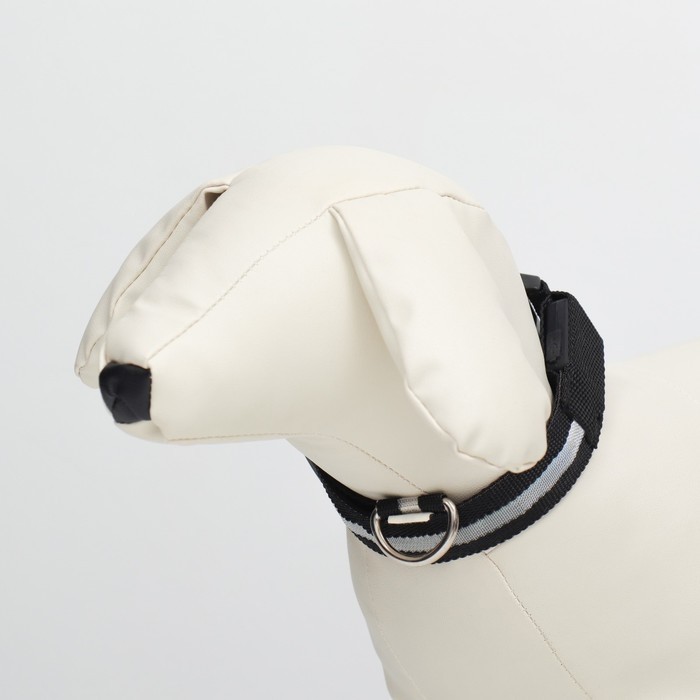 Ошейник с подсветкой, зарядка от USB, ОШ 41-52 см, 3 режима, черный