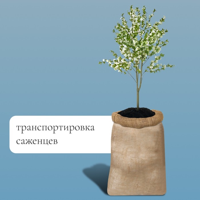 Мешок джутовый, 50×80 см, плотность 26×26 нитей, без завязок, Greengo