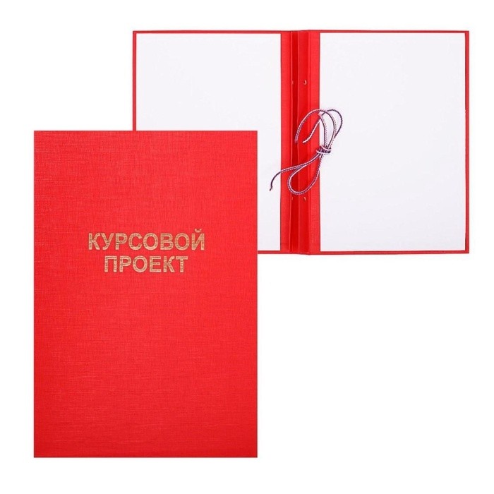 Папка "Курсовой проект" А4, бумвинил, гребешки/сутаж, без бумаги, цвет красный (вместимость до 150 листов)