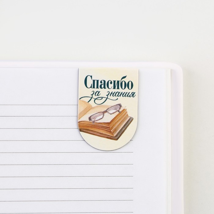 Закладки магнитные на подложке «Вы лучший учитель», 6 шт. (Цена за 2 шт.)