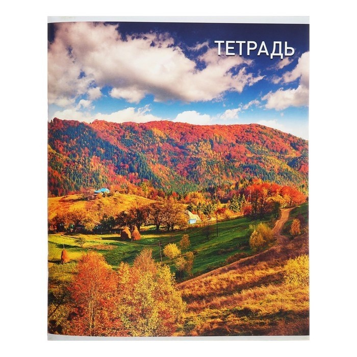 Тетрадь 96 листов в клетку Calligrata «Природа», обложка мелованный картон, блок №2, белизна 75% (серые листы), МИКС (Цена за 4 шт.)