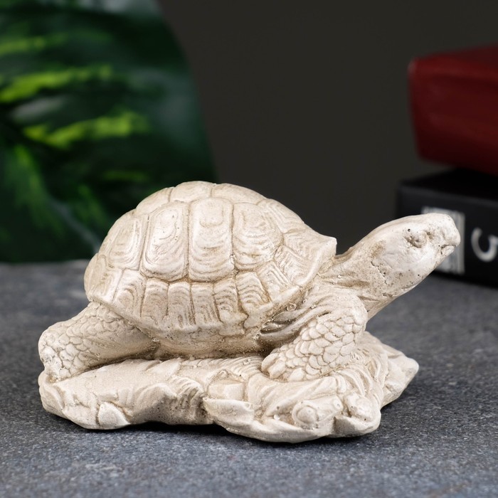 Фигурка «Черепаха на камне», слоновая кость, 8×7×6 см