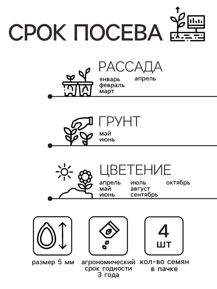 Семена цветов Пеларгония "Пинто Скарлет Стар", F1, 4 шт