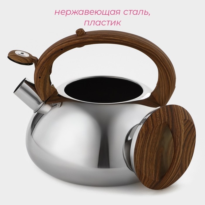 Чайник Доляна «Квант», 2.8 л, со свистком, фиксированная ручка soft-touch, нержавеющая сталь, хромированный