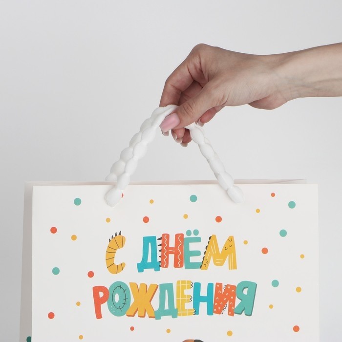 Пакет ламинированный «Динозавр: С днём рождения», M 26 х 30 х 9 см