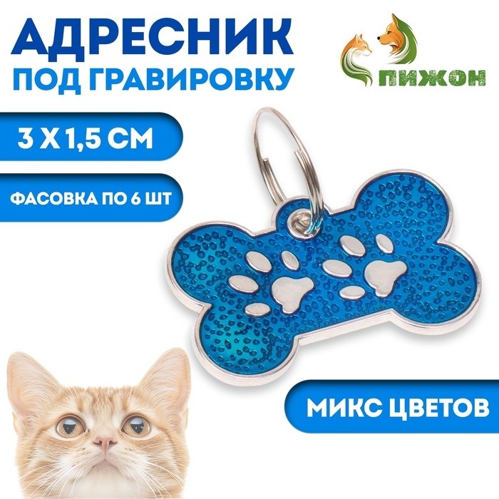 Адресник под гравировку "Косточка с лапками", 3 х 1,5 см, фасовка по 6 шт, микс цветов (Цена за 6 шт.)