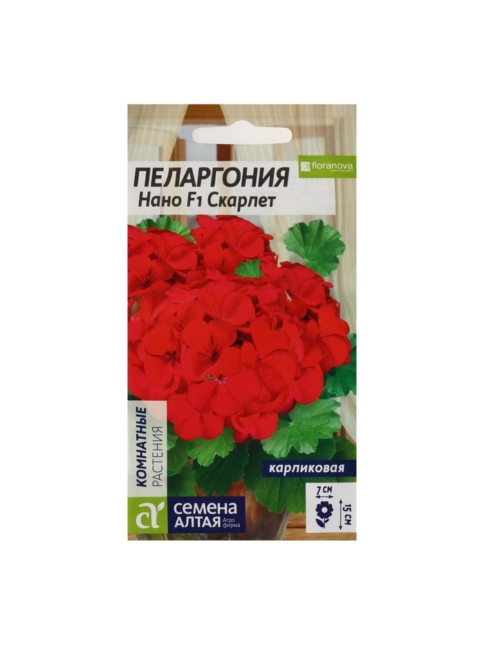 Семена цветов Пеларгония "Нано", ц/п,  "Скарлет", ц/п,  3 шт (Цена за 5 шт.)