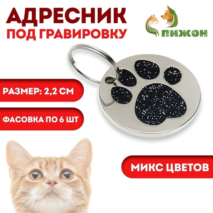 Адресник под гравировку "Блестящая лапка", 2,2 см, фасовка по 6 шт, микс цветов (Цена за 6 шт.)